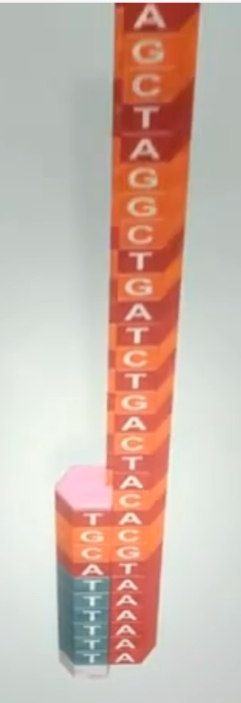 Pasted image 20250823223718.png